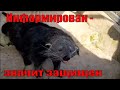 КОГДА ВЫГОДНО ПОКУПАТЬ  КВАРТИРУ.  КТО ПРОИГРАЕТ, КОМУ ПОВЕЗЕТ?..