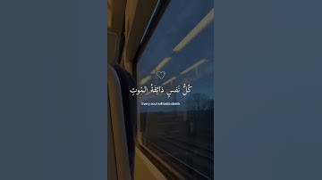 كل نفس ذائقة الموت … | سورة العنكبوت القارئ عبدالرحمن مسعد #quraan #اكسبلور #تلاوة_هادئة #quran