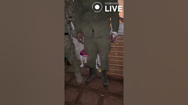 ‼️‼️‼️Боец ВСУ vs чмобик