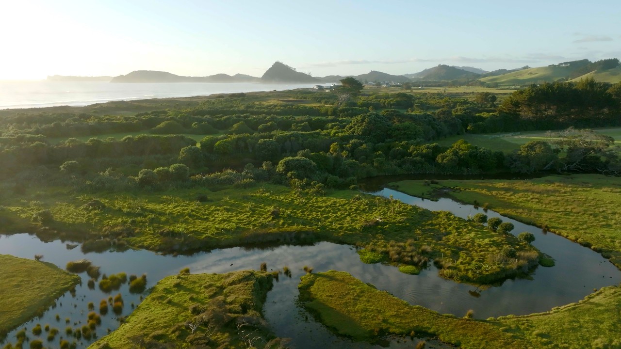 Open Planet Studios x Tahi | Restoring The Balance - YouTube