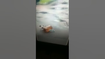 ig bro did reset to factory settings XD @the_great_papyrus7440