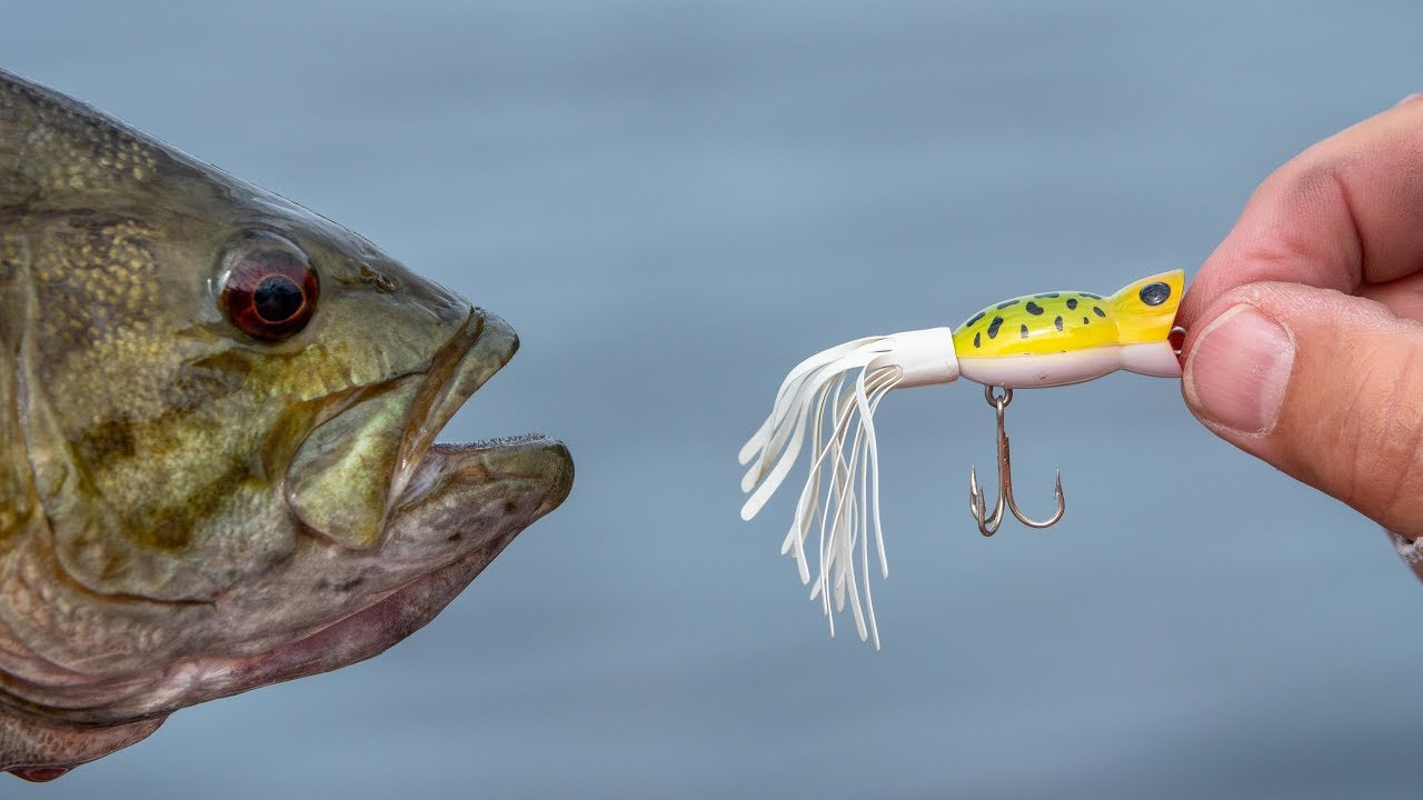 Fishing Poppers for Bass: The Finer Points - Wide Open Spaces