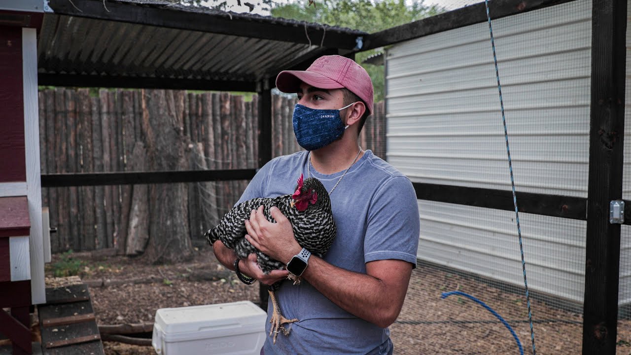 The BEST LOCAL FARM in Albuquerque