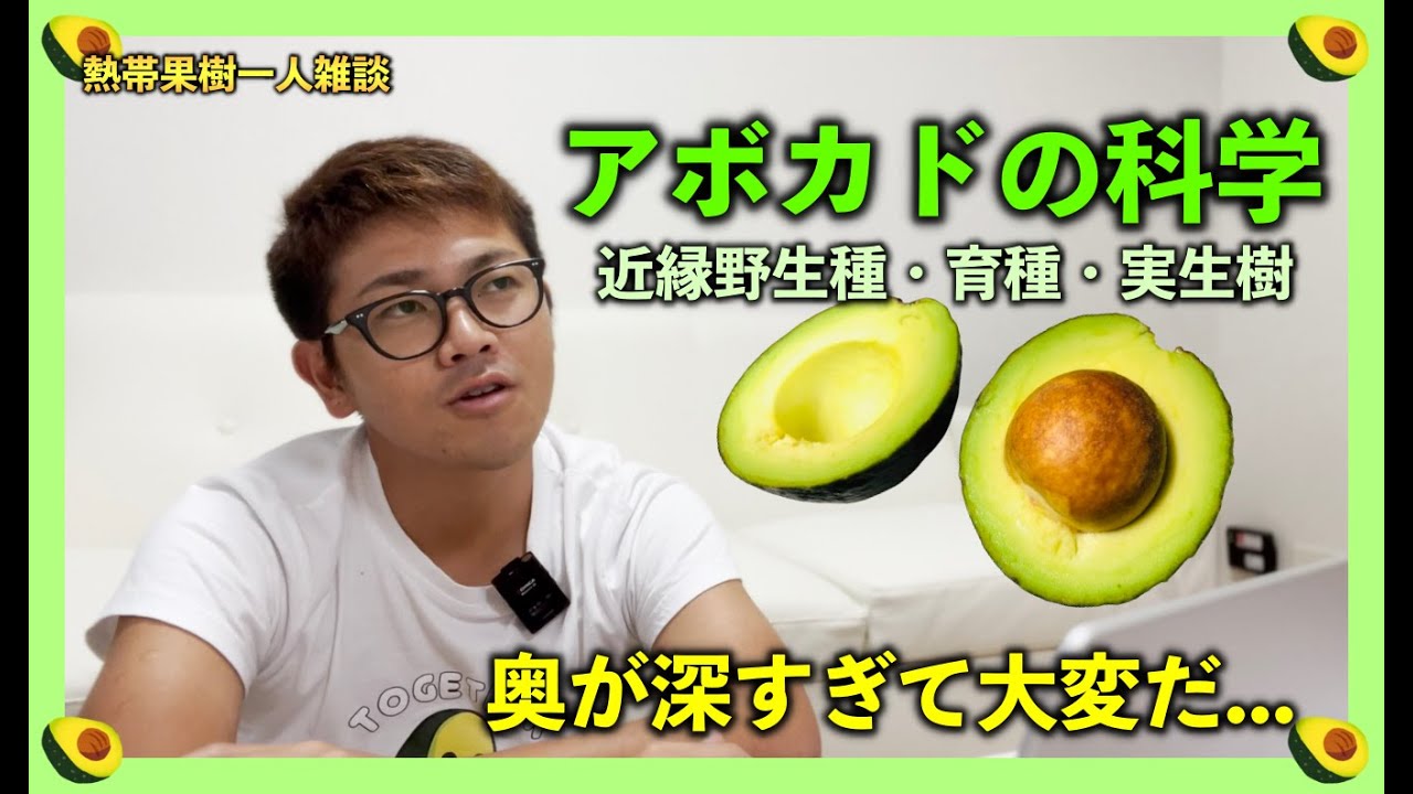 Avocado science: Is it possible to crossbreed with closely related