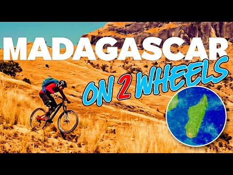 MTB Heroes: Chasing Glory on Two Wheels 🚵‍♂️🔥