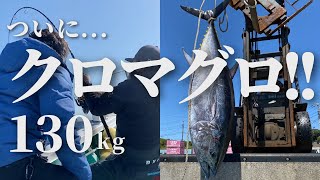 釣り具レンタル】マグロ泳がせ用セット ※シマノ タリカ50II | SOSIO STORE