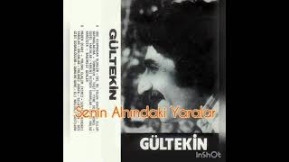 Lütfü Gültekin - Senin Alnındaki Yaralar (İbrahim Kaypakkayaya)