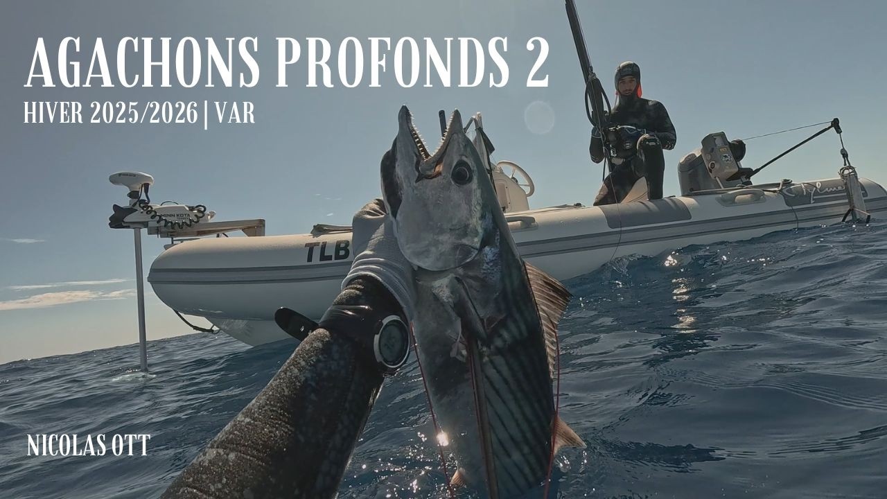 CHASSE SOUS MARINE PROFONDE HIVER 2025/2026 | VAR