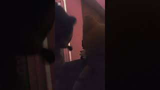 Sonic world adventures S1 ep2 finding Adventures 