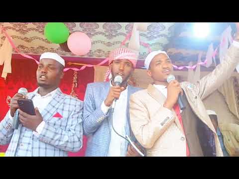 01 ARAB ZEYD SABONA EBBA KITAABA Guutuu Isii Nu Eegaa