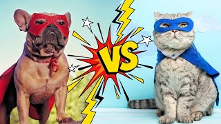 Cats vs. Dogs (Which is the better pet) Guide