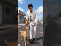 Cute dog steals fish to save his children's #ai #cute #dog #family