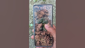 infinix note 50s 5G camera test 🚀😎 #smartphone #infinixnote50s #phone