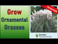 Growing Ornamental Grasses  🥰️🌾😆 10 Amazing Perennial Grasses