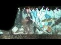 2009.11.06 KISS - Rock and Roll Al Nite (Screenshot, Live in Chicago, IL)