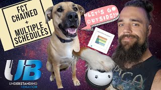 FCT Chained + Multiple (compound) schedules. Teach your dog to communicate!