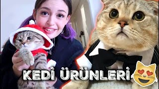 ÇILGIN KEDİ ÜRÜNLERİNİ DENEDİK! ft BEHLÜL, YASU!