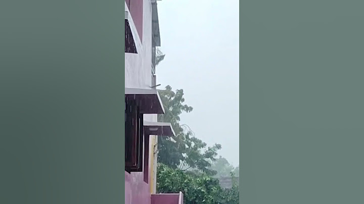 ஃபெங்கலின் தாக்கம் 🌧🌪..#ஃபெங்கல்புயல் #புயல் #cyclone #rain #rainupdate #kaathu #kudai #vadivel #fun