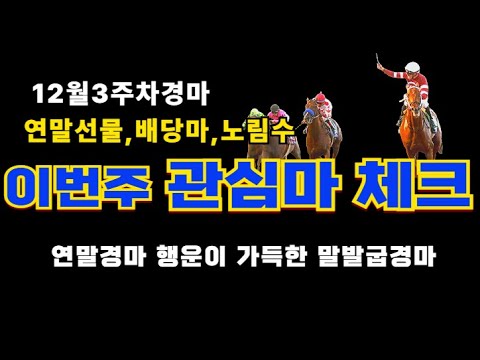말발굽경마 🟢연말경마시즌 12월3주차 관심마필공략 🎯배당/노림수 🧿경마분석