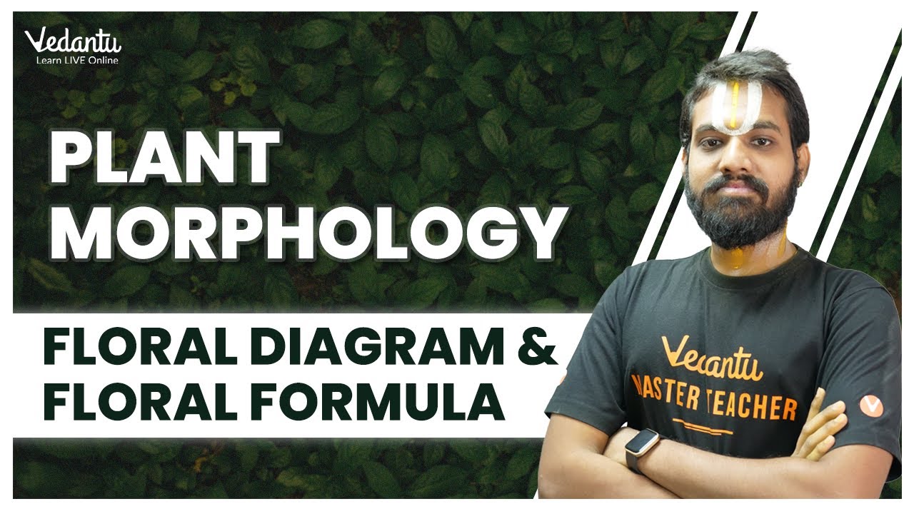 Floral Diagram and Floral Formula Morphology of Flowering Plants