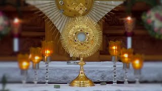 Perpetual Adoration Live | Eucharistic Adoration Live (24/7) screenshot 4