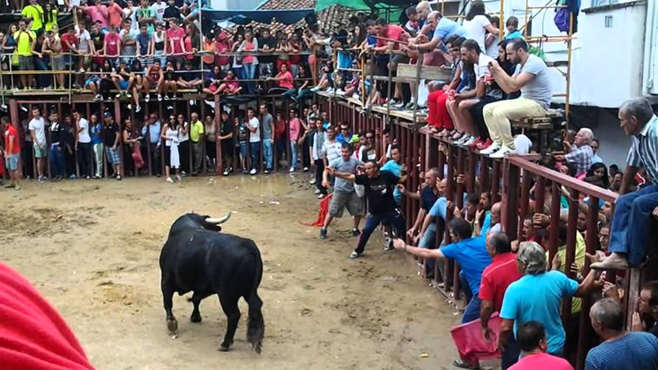 solteros de Aldeanueva de la vera