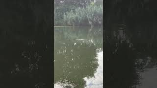 Rzeka Noteć 26.07.2025