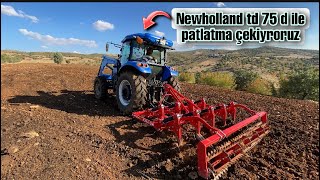 Newholland Td75D Ile Patlatma Çekiyoruz / Tohum Yatağı Hazırlığı