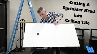 How To Cut a Sprinkler Head Into a Ceiling Tile by Mitchell Acoustical 61,564 views 5 years ago 4 minutes, 42 seconds