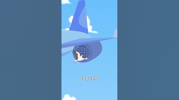 Why Jets Don’t Have Bird Blockers 🤔