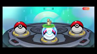 Pet frenzy : master legend screenshot 4