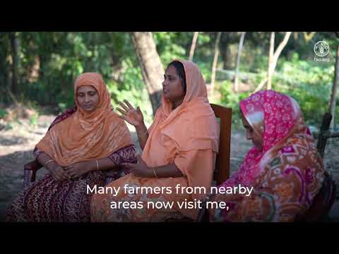 A father, a poultry farm and Bangladesh&rsquo;s fight against antimicrobial resistance