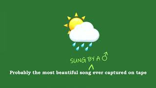 Watch Terry Callier Occasional Rain video