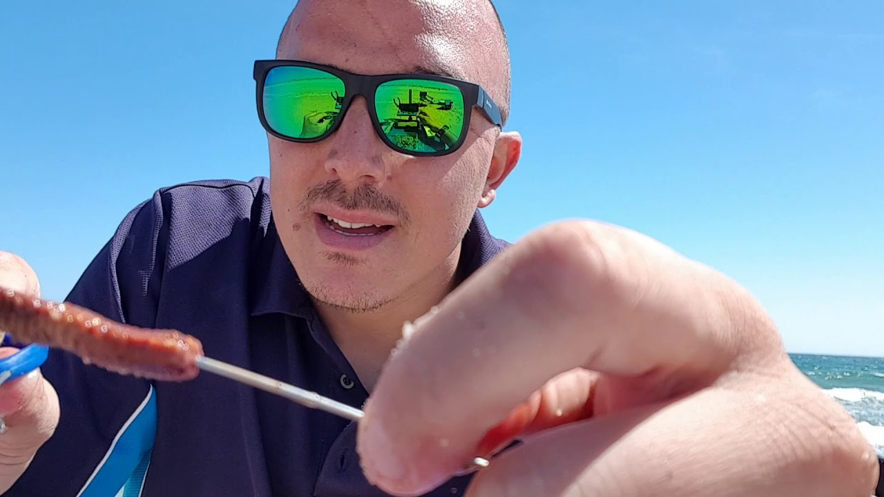 Cebos Infalibles / El Llobarrero