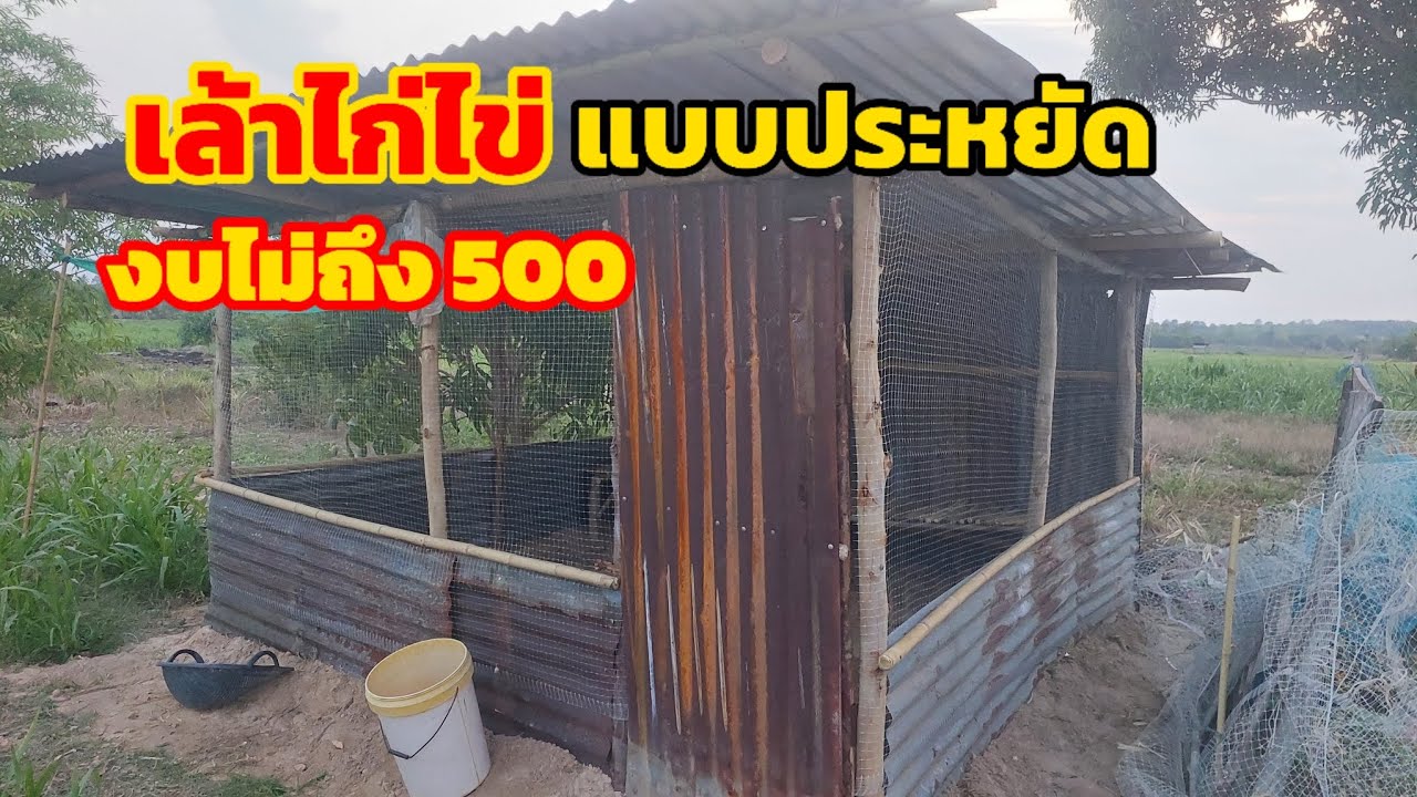 เล้าไก่ไข่งบ 500 บาท? #เล้าไก่ไข่แบบประหยัด งบน้อยๆก็สามารถทำได้