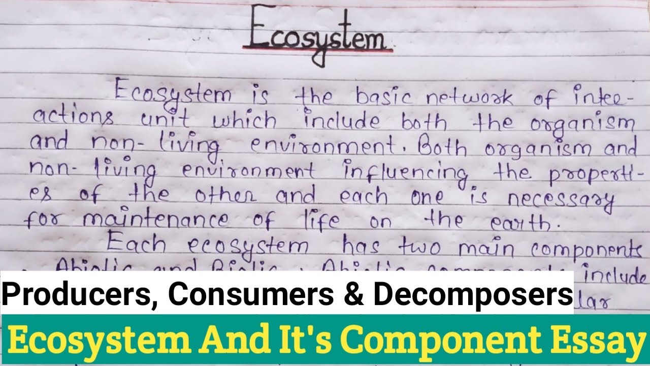 essay definition of ecosystem