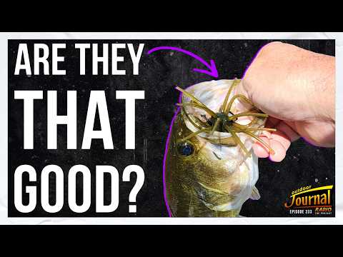 Do Fishing Lures Actually Need to Look Real?