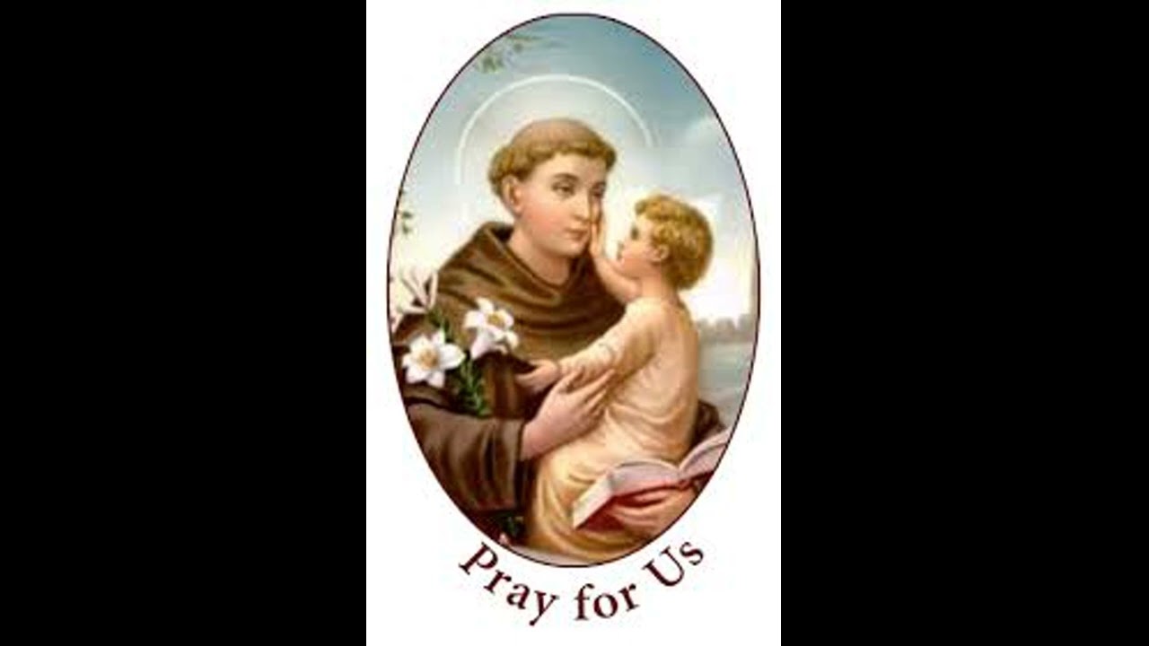 വിശുദ്ധ അന്തോണീസ് പുണ്യവാളന്റെ ചരിത്രം ഏഴാം ഭാഗം