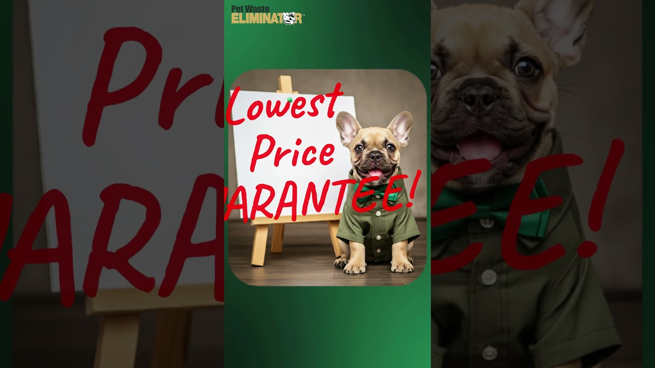 Affordable pet waste stations and bags from Pet Waste Eliminator 🐕💩