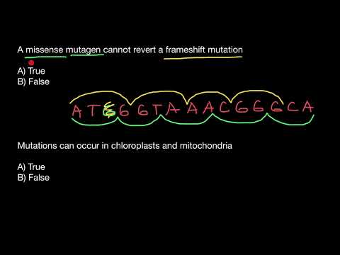Missense and Frameshift mutations explained