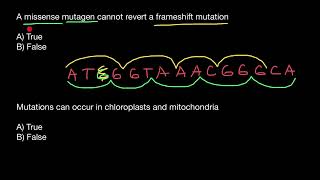 Missense And Frameshift Mutations Explained