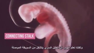Ahmed Chawki - teaser - tsunami احمد شوقي -تسونمي