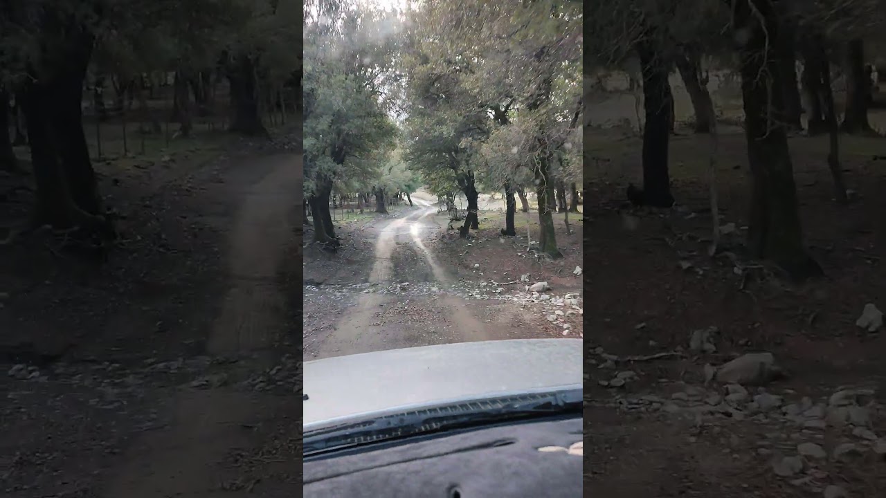 Προς οροπέδιο Βρωμονερού