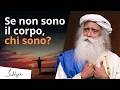 Sei molto più del tuo cervello - Sadhguru e il Neuroscienziato | Sadhguru Italiano