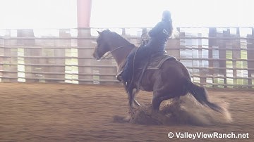 King Of Crome - sliding stops, reining lead changes! - ValleyViewRanch.net