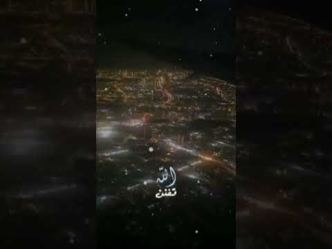 شايل من حسن يوسف