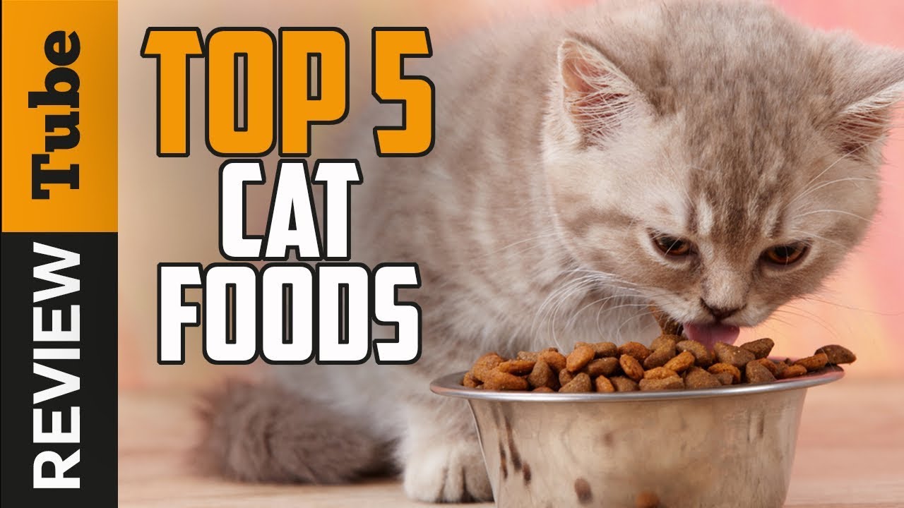 Cat Food: Best Cat Food (Buying Guide) - YouTube