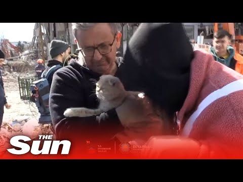 Video: Pet Scoop: Kaķis, kas atrasts dzīvs drupās No Itālijas Quake, suņu mizām Saglabāt vecāka gadagājuma īpašnieku