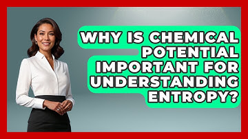 Why Is Chemical Potential Important For Understanding Entropy? - Thermodynamics For Everyone