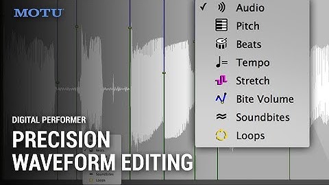 DP 10 Waveform Editor